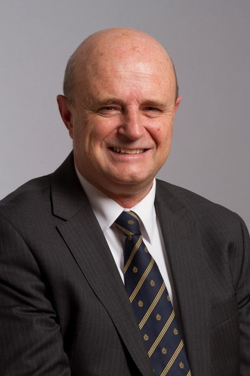 Pedro Gari Irureta Goyena